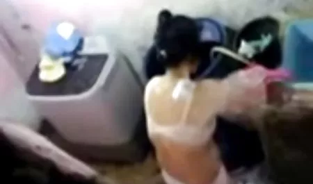 Petualangan bokep indo mulus cantik seks kuda muda