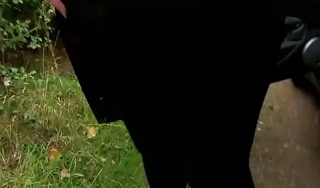 Sadie Swede dan Phoenix Marie tidak bertengkar tentang seorang xxx indo cantik pria
